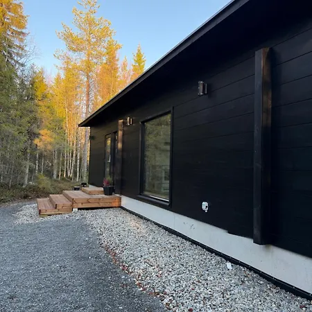 Villa Modern Villajoenhelmi With Jacuzzi And Sauna