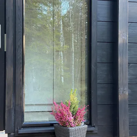 Modern Villajoenhelmi With Jacuzzi And Sauna