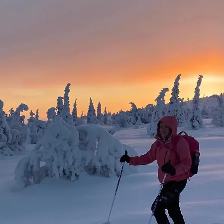Modern Villajoenhelmi With Jacuzzi And Sauna *