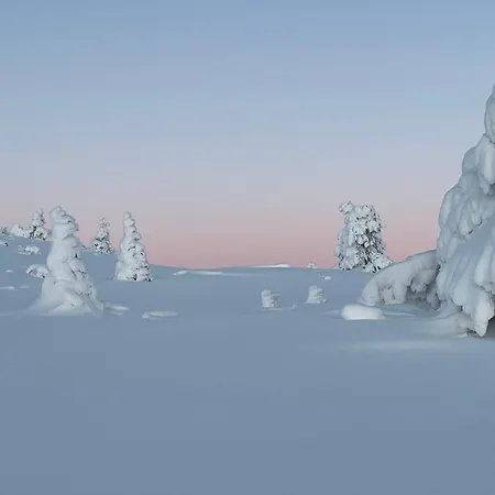 Modern Villajoenhelmi With Jacuzzi And Sauna * Kuusamo