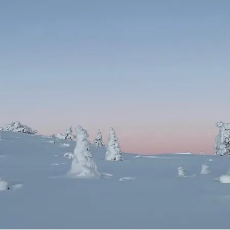 Modern Villajoenhelmi With Jacuzzi And Sauna * クーサモ