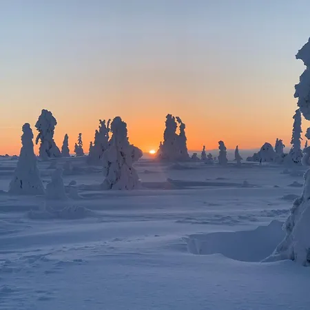 Modern Villajoenhelmi With Jacuzzi And Sauna * クーサモ