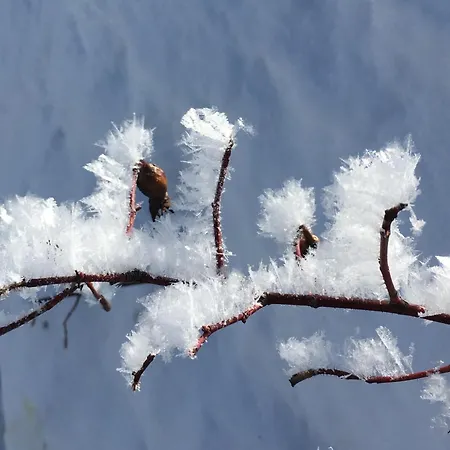 Modern Villajoenhelmi With Jacuzzi And Sauna *
