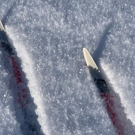 Modern Villajoenhelmi With Jacuzzi And Sauna *