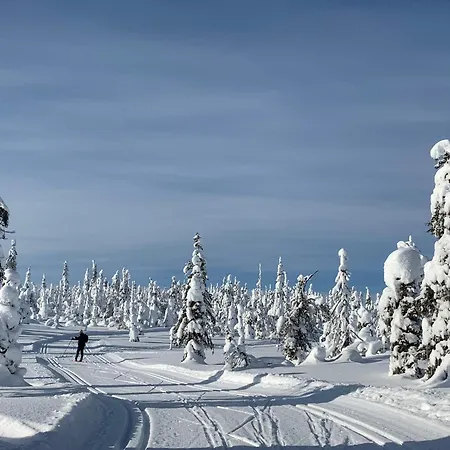 Modern Villajoenhelmi With Jacuzzi And Sauna * クーサモ