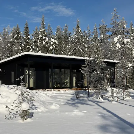 Modern Villajoenhelmi With Jacuzzi And Sauna فيلة *