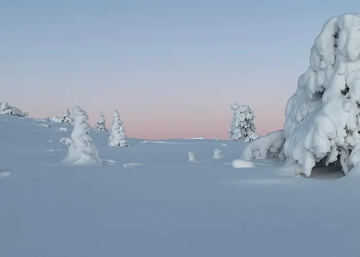 Modern Villajoenhelmi With Jacuzzi&sauna * Kuusamo