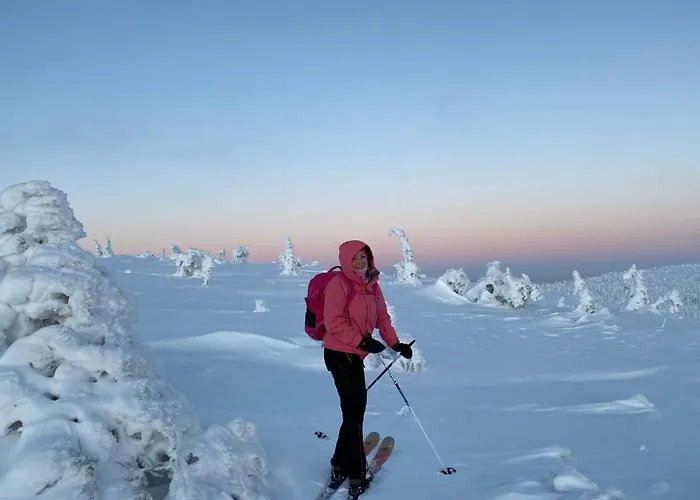 Villa Modern Villajoenhelmi With Jacuzzi&sauna