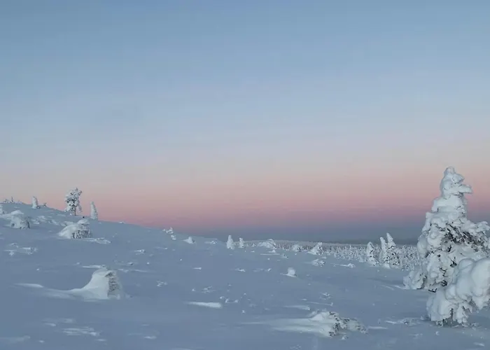 Modern Villajoenhelmi With Jacuzzi&sauna Villa