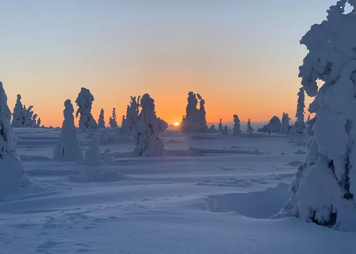 Modern Villajoenhelmi With Jacuzzi&sauna * Kuusamo