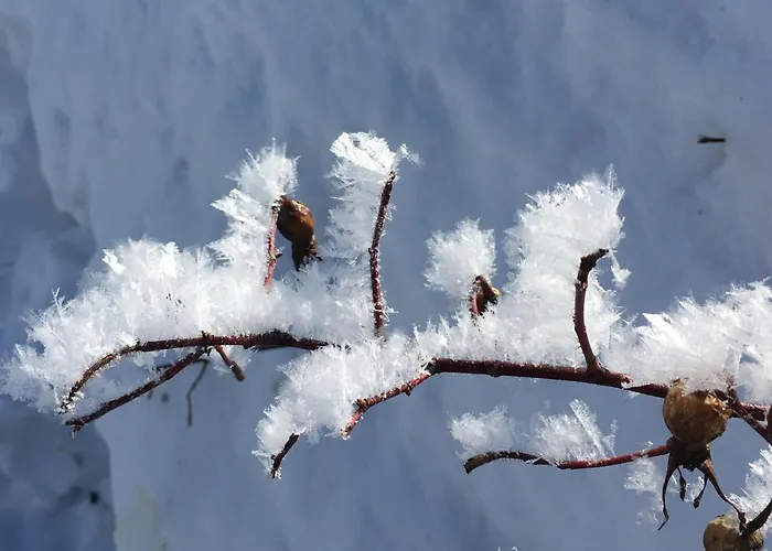 Modern Villajoenhelmi With Jacuzzi&sauna *
