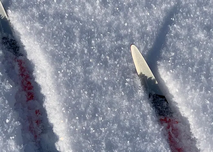 Modern Villajoenhelmi With Jacuzzi&sauna *