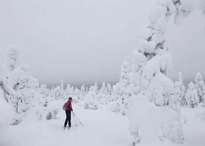 Modern Villajoenhelmi With Jacuzzi&sauna Kuusamo