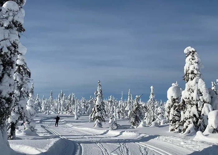 Modern Villajoenhelmi With Jacuzzi&sauna * Kuusamo